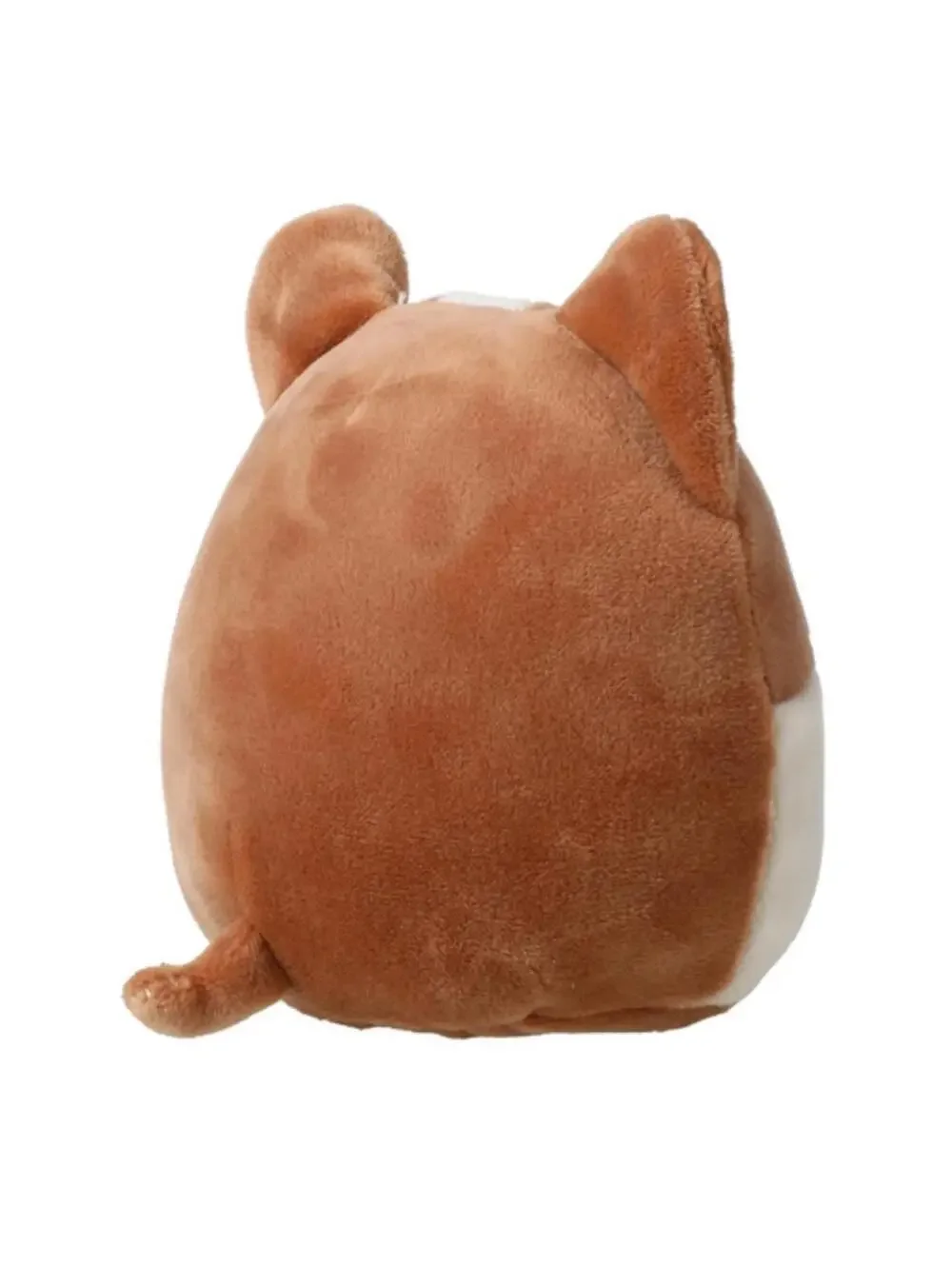 4” Valentines Regina the Corgi squishmallow NWT